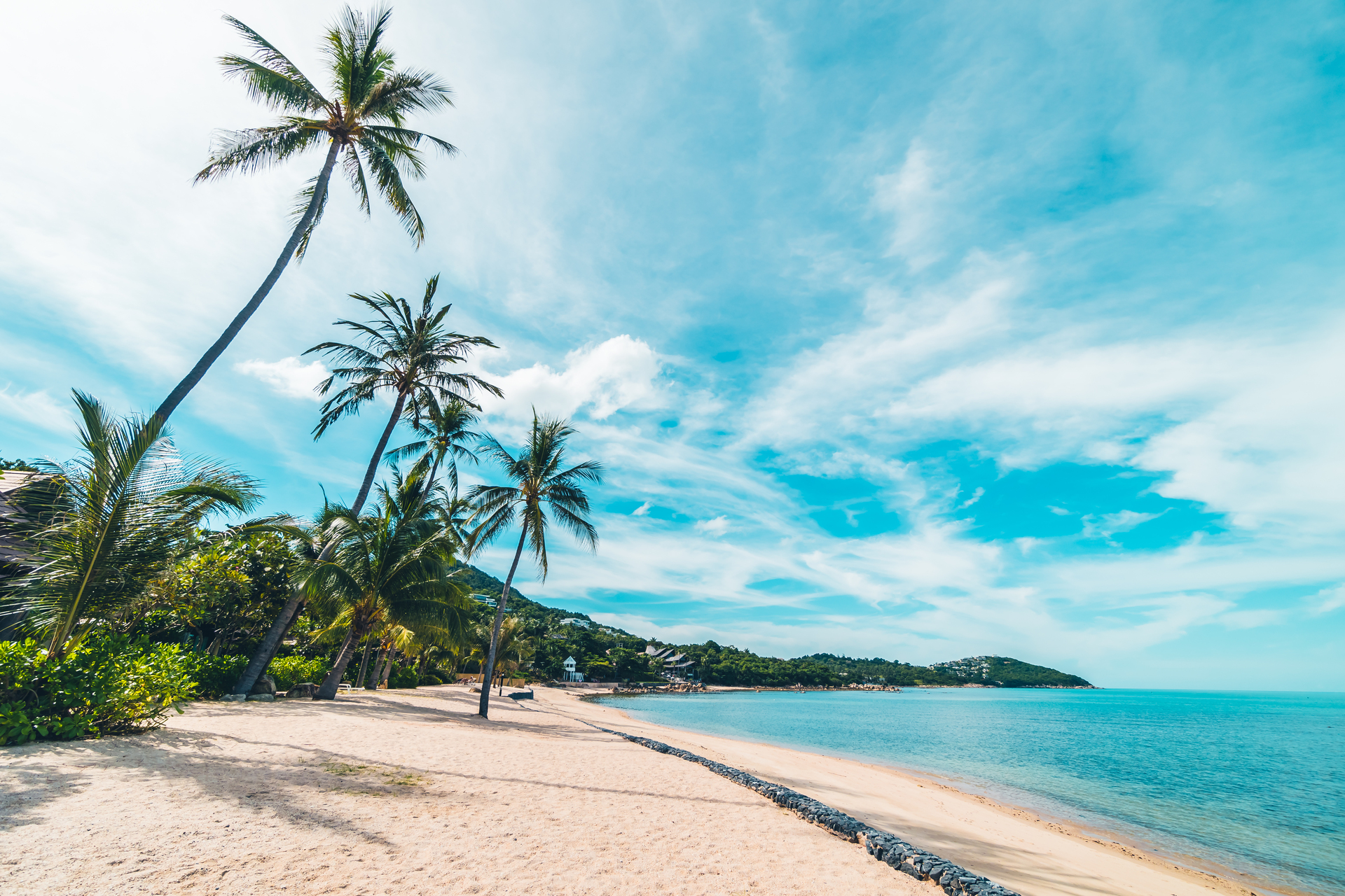 Tropical Caribbean Beach